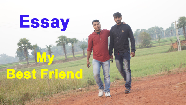 Essay My Best Friend