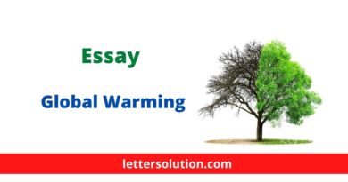 Essay on Global Warming