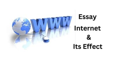 Internet And Its Effects Essay